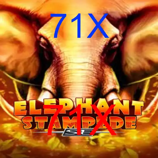 ElephantStampedeSE